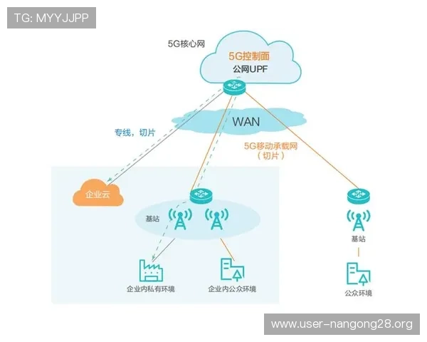 5g电力虚拟专网在电力行业中的应用前景与未来发展趋势分析