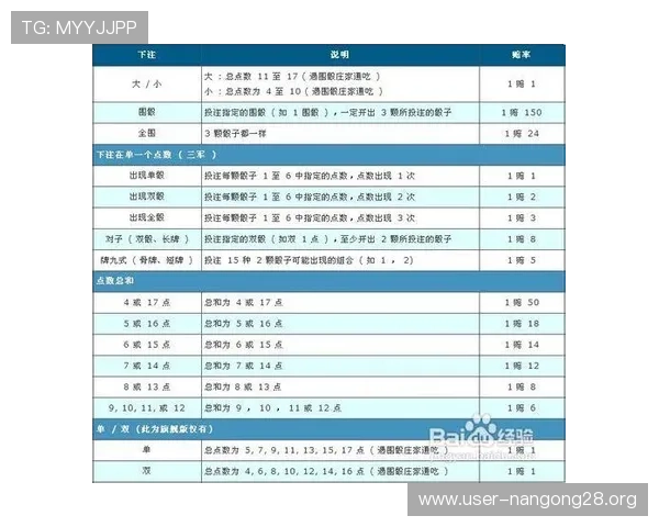 全面解析骰宝模拟软件的操作流程与实用技巧助你轻松赢钱