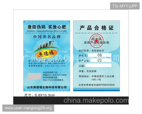 基诺型彩票中奖查询流程详解让你轻松查到每一次中奖结果