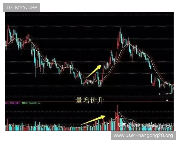 德州扑克筹码规则新手必看，掌握筹码分配与换取的详细操作流程